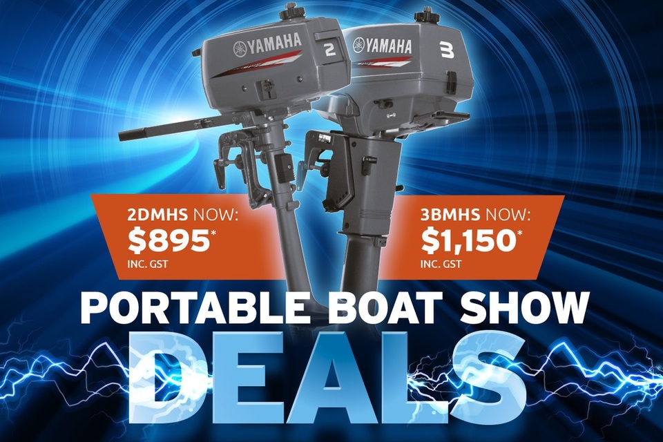 Need a 2 or 3 hp outboard? 
